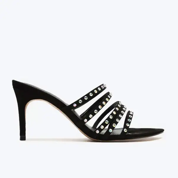 CALC-SSM  NOBUCK         -BLACK