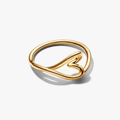Ring with smaller scale ring