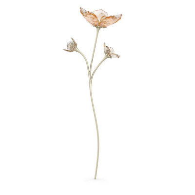Garden Tales:Magnolia