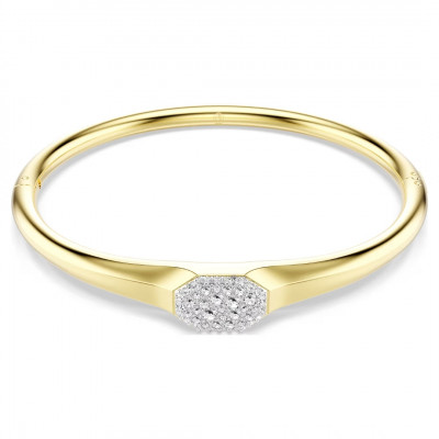 DEXTERA:BANGLE TAG CRE/GOS S